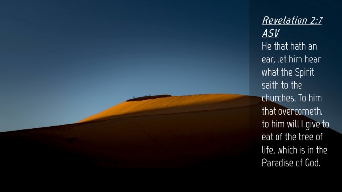 Picture 04 - Revelation 2:7 ASV Desktop Wallpaper - He that hath an ear, let him hear what the Spirit - Desktop Bible Verse Wallpaper