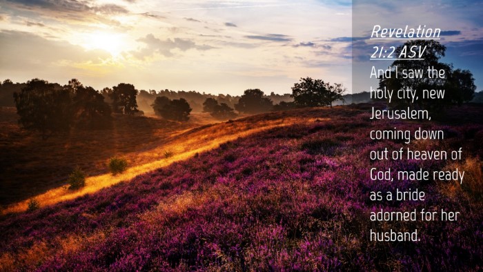 Picture 04 - Revelation 21:2 ASV Desktop Wallpaper - And I saw the holy city, new Jerusalem, coming - Desktop Bible Verse Wallpaper