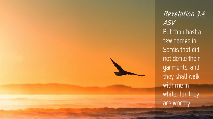 Picture 04 - Revelation 3:4 ASV Desktop Wallpaper - But thou hast a few names in Sardis that did not - Desktop Bible Verse Wallpaper