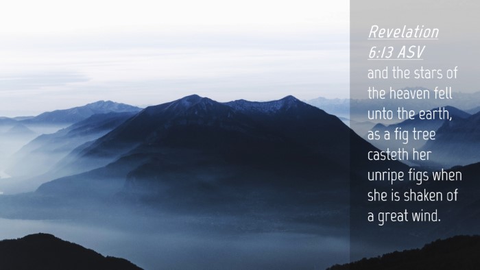 Picture 04 - Revelation 6:13 ASV Desktop Wallpaper - and the stars of the heaven fell unto the earth, - Desktop Bible Verse Wallpaper
