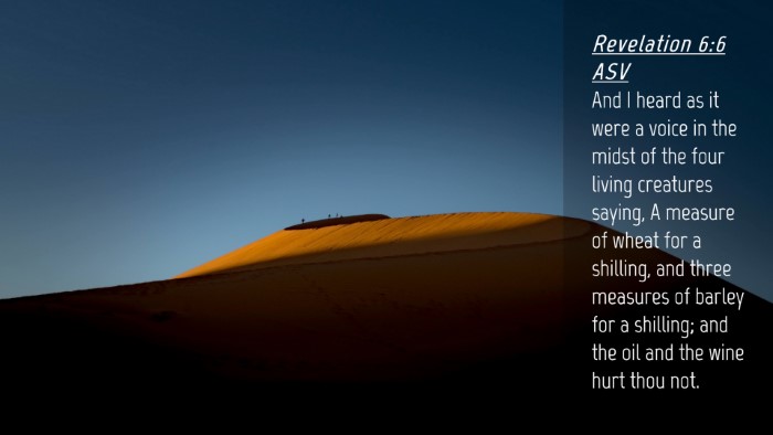 Picture 04 - Revelation 6:6 ASV Desktop Wallpaper - And I heard as it were a voice in the midst of - Desktop Bible Verse Wallpaper