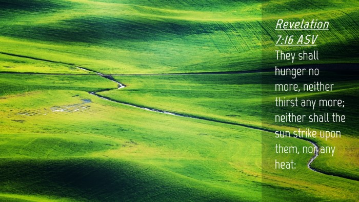 Picture 04 - Revelation 7:16 ASV Desktop Wallpaper - They shall hunger no more, neither thirst any - Desktop Bible Verse Wallpaper
