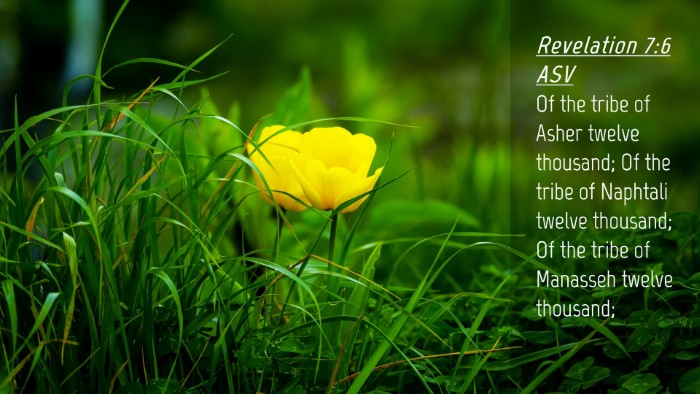 Picture 04 - Revelation 7:6 ASV Desktop Wallpaper - Of the tribe of Asher twelve thousand; Of the - Desktop Bible Verse Wallpaper