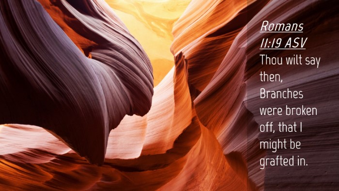 Picture 04 - Romans 11:19 ASV Desktop Wallpaper - Thou wilt say then, Branches were broken off, - Desktop Bible Verse Wallpaper