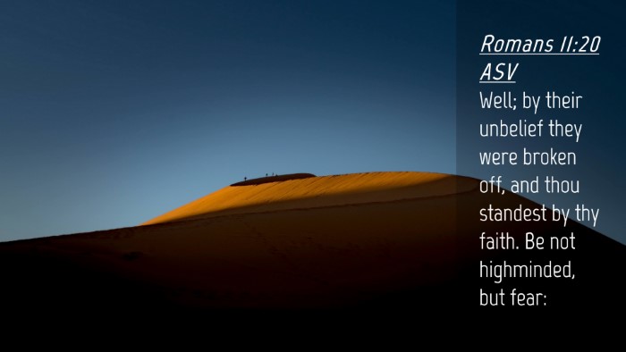 Picture 04 - Romans 11:20 ASV Desktop Wallpaper - Well; by their unbelief they were broken off, and - Desktop Bible Verse Wallpaper