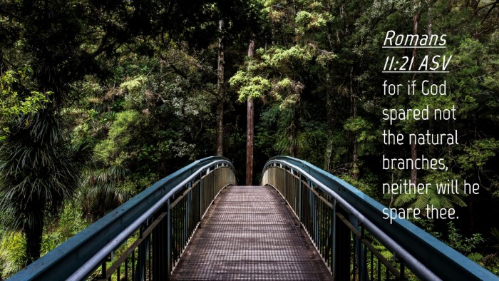 Picture 04 - Romans 11:21 ASV Desktop Wallpaper - for if God spared not the natural branches, - Desktop Bible Verse Wallpaper