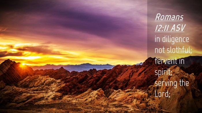 Picture 04 - Romans 12:11 ASV Desktop Wallpaper - in diligence not slothful; fervent in spirit; - Desktop Bible Verse Wallpaper