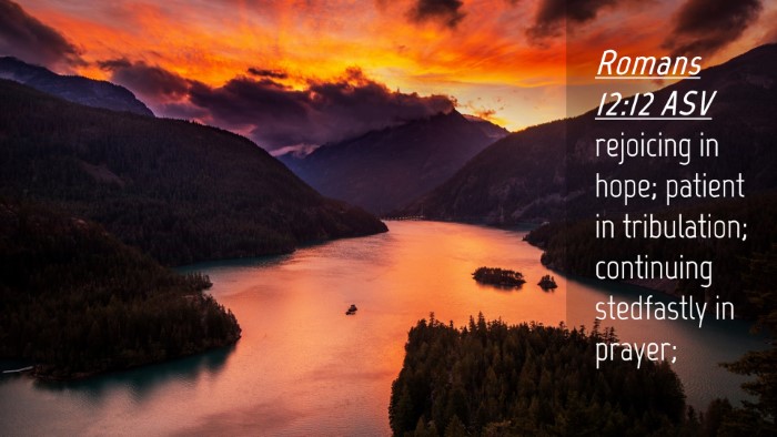 Picture 04 - Romans 12:12 ASV Desktop Wallpaper - rejoicing in hope; patient in tribulation; - Desktop Bible Verse Wallpaper