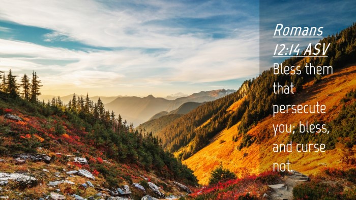 Picture 04 - Romans 12:14 ASV Desktop Wallpaper - Bless them that persecute you; bless, and curse - Desktop Bible Verse Wallpaper
