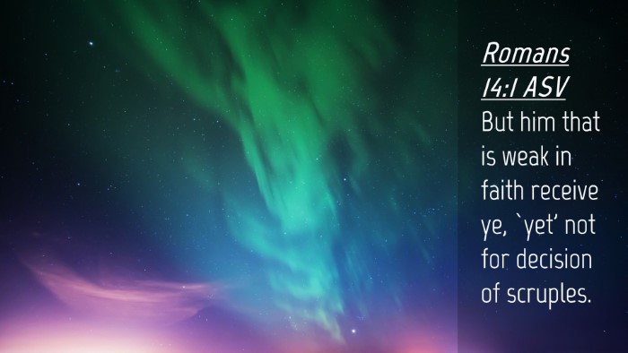 Picture 04 - Romans 14:1 ASV Desktop Wallpaper - But him that is weak in faith receive ye, `yet' - Desktop Bible Verse Wallpaper