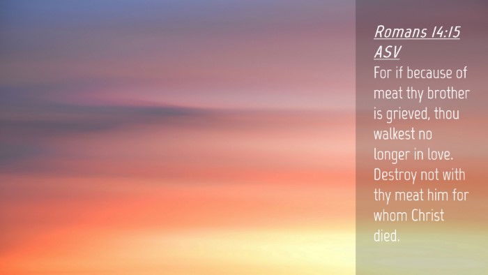 Picture 04 - Romans 14:15 ASV Desktop Wallpaper - For if because of meat thy brother is grieved, - Desktop Bible Verse Wallpaper