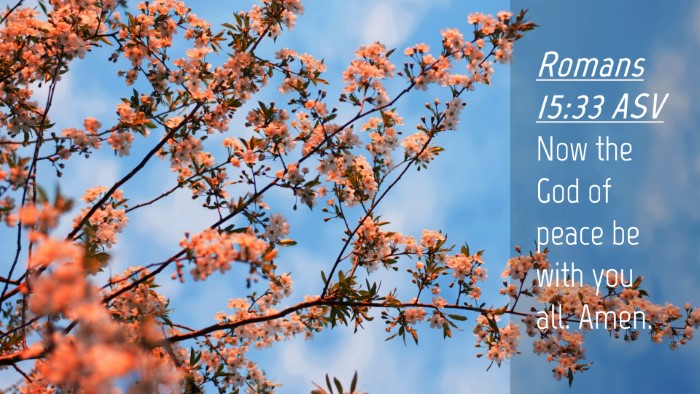 Picture 04 - Romans 15:33 ASV Desktop Wallpaper - Now the God of peace be with you all. - Desktop Bible Verse Wallpaper