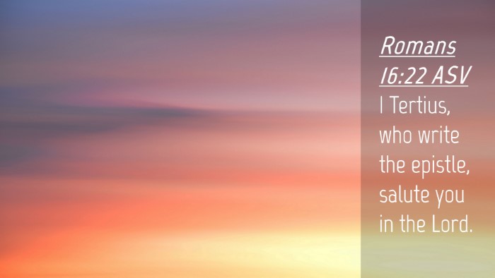 Picture 04 - Romans 16:22 ASV Desktop Wallpaper - I Tertius, who write the epistle, salute you in - Desktop Bible Verse Wallpaper