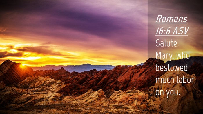 Picture 04 - Romans 16:6 ASV Desktop Wallpaper - Salute Mary, who bestowed much labor on - Desktop Bible Verse Wallpaper