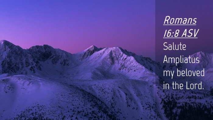 Picture 04 - Romans 16:8 ASV Desktop Wallpaper - Salute Ampliatus my beloved in the - Desktop Bible Verse Wallpaper