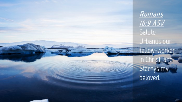 Picture 04 - Romans 16:9 ASV Desktop Wallpaper - Salute Urbanus our fellow-worker in Christ, and - Desktop Bible Verse Wallpaper