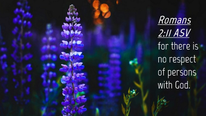 Picture 04 - Romans 2:11 ASV Desktop Wallpaper - for there is no respect of persons with - Desktop Bible Verse Wallpaper