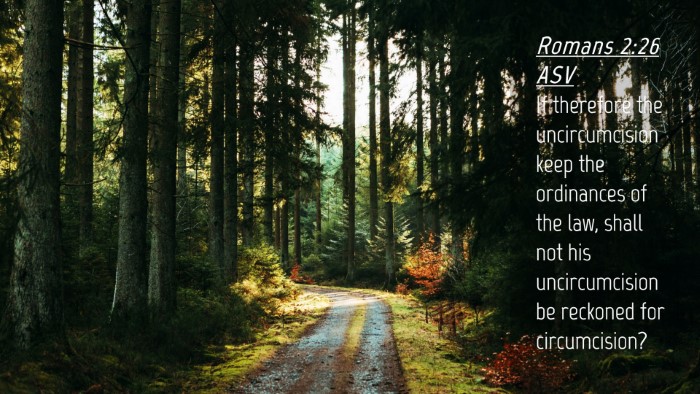 Picture 04 - Romans 2:26 ASV Desktop Wallpaper - If therefore the uncircumcision keep the - Desktop Bible Verse Wallpaper