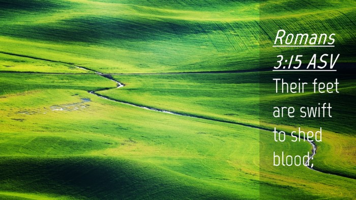 Picture 04 - Romans 3:15 ASV Desktop Wallpaper - Their feet are swift to shed - Desktop Bible Verse Wallpaper