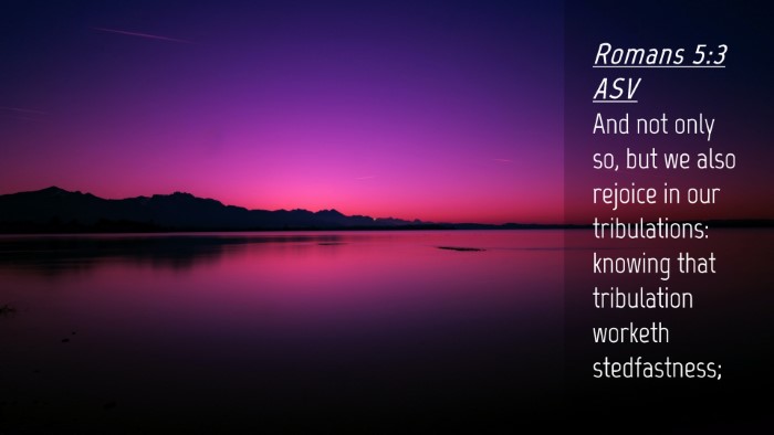 Picture 04 - Romans 5:3 ASV Desktop Wallpaper - And not only so, but we also rejoice in our - Desktop Bible Verse Wallpaper