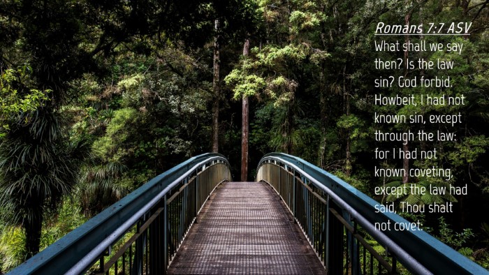 Picture 04 - Romans 7:7 ASV Desktop Wallpaper - What shall we say then? Is the law sin? God - Desktop Bible Verse Wallpaper