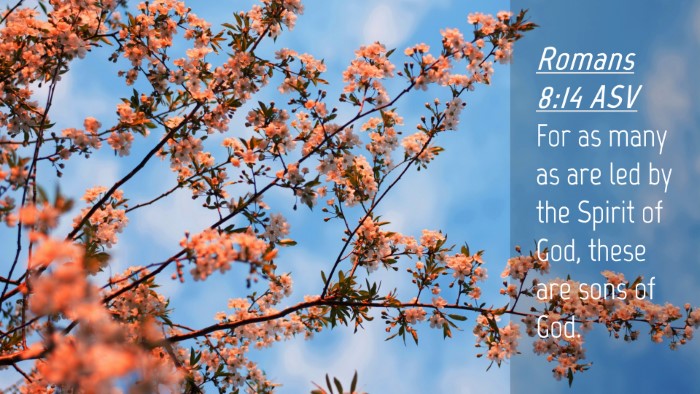 Picture 04 - Romans 8:14 ASV Desktop Wallpaper - For as many as are led by the Spirit of God, - Desktop Bible Verse Wallpaper