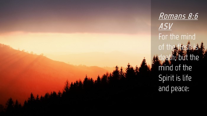 Picture 04 - Romans 8:6 ASV Desktop Wallpaper - For the mind of the flesh is death; but the mind - Desktop Bible Verse Wallpaper