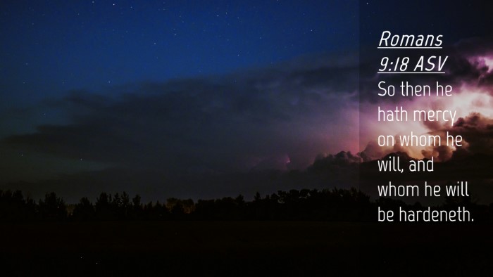 Picture 04 - Romans 9:18 ASV Desktop Wallpaper - So then he hath mercy on whom he will, and whom - Desktop Bible Verse Wallpaper