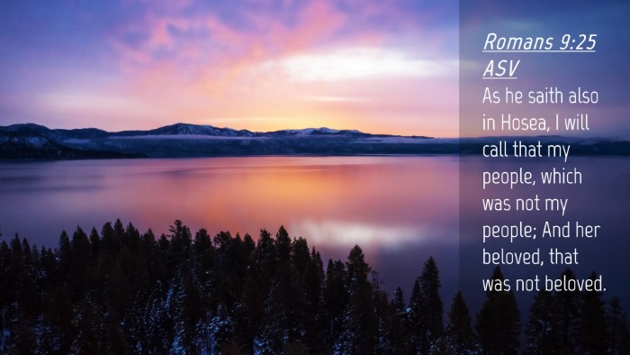 Picture 04 - Romans 9:25 ASV Desktop Wallpaper - As he saith also in Hosea, I will call that my - Desktop Bible Verse Wallpaper