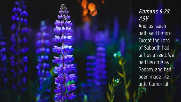 Picture 04 - Romans 9:29 ASV Desktop Wallpaper - And, as Isaiah hath said before, Except the Lord - Desktop Bible Verse Wallpaper