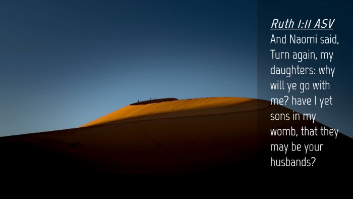Picture 04 - Ruth 1:11 ASV Desktop Wallpaper - And Naomi said, Turn again, my daughters: why - Desktop Bible Verse Wallpaper