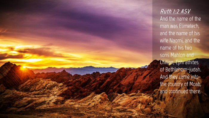 Picture 04 - Ruth 1:2 ASV Desktop Wallpaper - And the name of the man was Elimelech, and the - Desktop Bible Verse Wallpaper