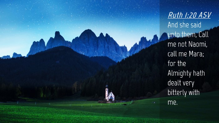 Picture 04 - Ruth 1:20 ASV Desktop Wallpaper - And she said unto them, Call me not Naomi, call - Desktop Bible Verse Wallpaper