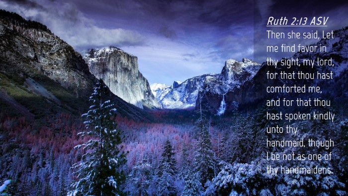 Picture 04 - Ruth 2:13 ASV Desktop Wallpaper - Then she said, Let me find favor in thy sight, my - Desktop Bible Verse Wallpaper