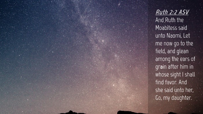 Picture 04 - Ruth 2:2 ASV Desktop Wallpaper - And Ruth the Moabitess said unto Naomi, Let me - Desktop Bible Verse Wallpaper