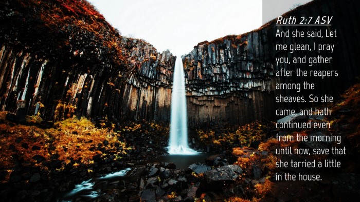 Picture 04 - Ruth 2:7 ASV Desktop Wallpaper - And she said, Let me glean, I pray you, and - Desktop Bible Verse Wallpaper