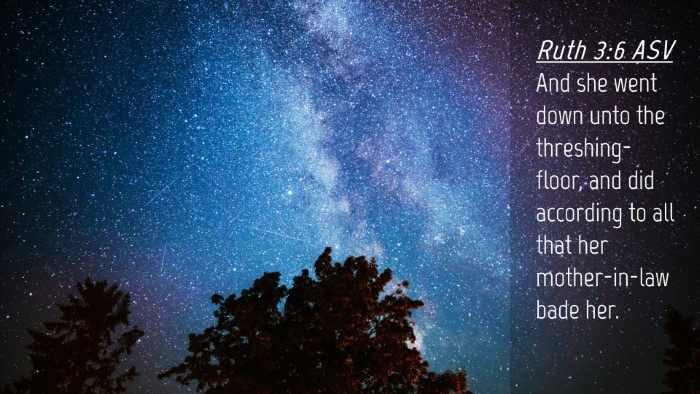 Picture 04 - Ruth 3:6 ASV Desktop Wallpaper - And she went down unto the threshing-floor, and - Desktop Bible Verse Wallpaper