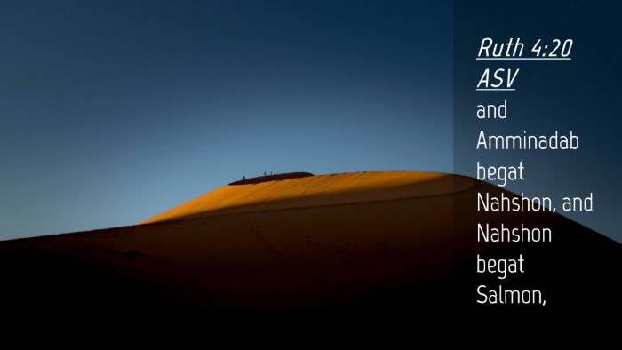 Picture 04 - Ruth 4:20 ASV Desktop Wallpaper - and Amminadab begat Nahshon, and Nahshon begat - Desktop Bible Verse Wallpaper