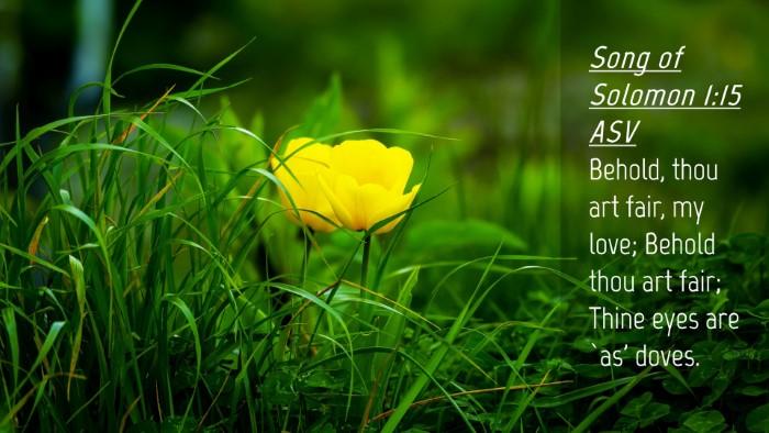 Picture 04 - Song of Solomon 1:15 ASV Desktop Wallpaper - Behold, thou art fair, my love; Behold thou art - Desktop Bible Verse Wallpaper