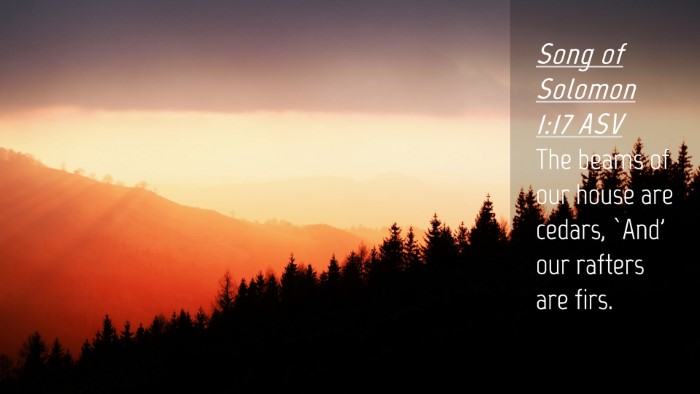Picture 04 - Song of Solomon 1:17 ASV Desktop Wallpaper - The beams of our house are cedars, `And' our - Desktop Bible Verse Wallpaper
