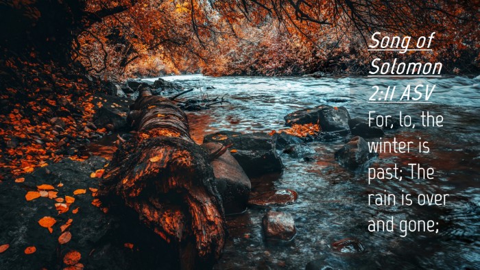 Picture 04 - Song of Solomon 2:11 ASV Desktop Wallpaper - For, lo, the winter is past; The rain is over and - Desktop Bible Verse Wallpaper