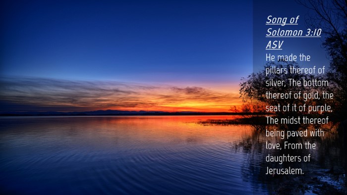 Picture 04 - Song of Solomon 3:10 ASV Desktop Wallpaper - He made the pillars thereof of silver, The bottom - Desktop Bible Verse Wallpaper