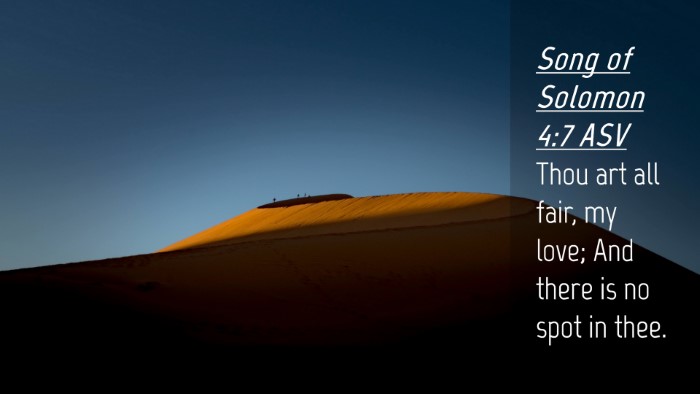 Picture 04 - Song of Solomon 4:7 ASV Desktop Wallpaper - Thou art all fair, my love; And there is no spot - Desktop Bible Verse Wallpaper