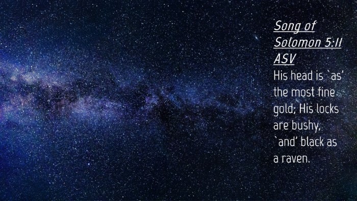 Picture 04 - Song of Solomon 5:11 ASV Desktop Wallpaper - His head is `as' the most fine gold; His locks - Desktop Bible Verse Wallpaper