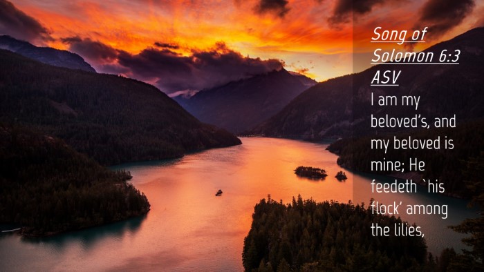 Picture 04 - Song of Solomon 6:3 ASV Desktop Wallpaper - I am my beloved's, and my beloved is mine; He - Desktop Bible Verse Wallpaper