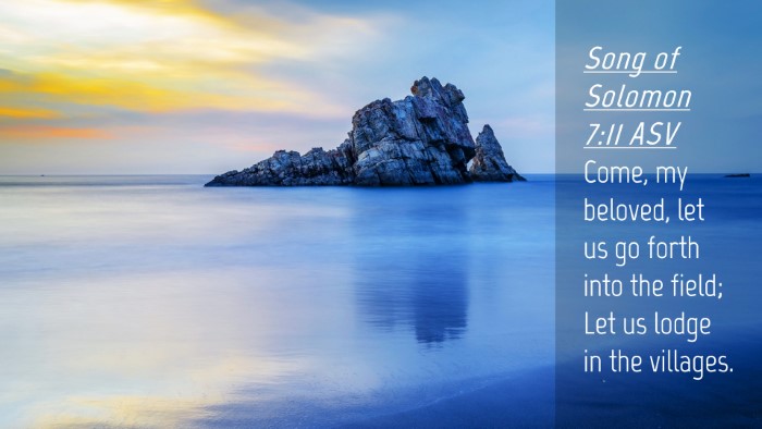 Picture 04 - Song of Solomon 7:11 ASV Desktop Wallpaper - Come, my beloved, let us go forth into the field; - Desktop Bible Verse Wallpaper