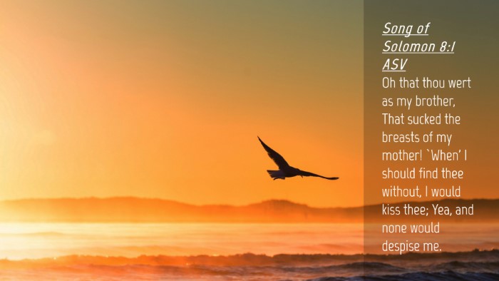 Picture 04 - Song of Solomon 8:1 ASV Desktop Wallpaper - Oh that thou wert as my brother, That sucked the - Desktop Bible Verse Wallpaper