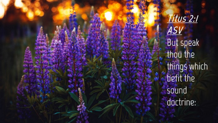 Picture 04 - Titus 2:1 ASV Desktop Wallpaper - But speak thou the things which befit the sound - Desktop Bible Verse Wallpaper