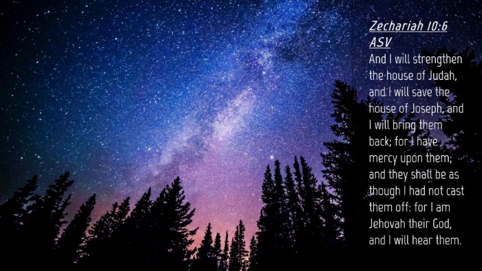 Picture 04 - Zechariah 10:6 ASV Desktop Wallpaper - And I will strengthen the house of Judah, and I - Desktop Bible Verse Wallpaper