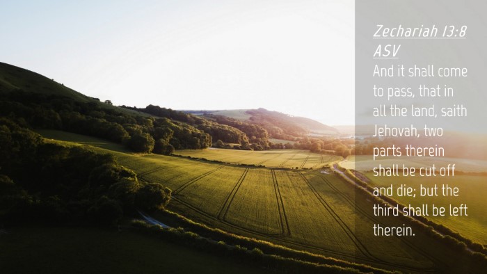Picture 04 - Zechariah 13:8 ASV Desktop Wallpaper - And it shall come to pass, that in all the land, - Desktop Bible Verse Wallpaper